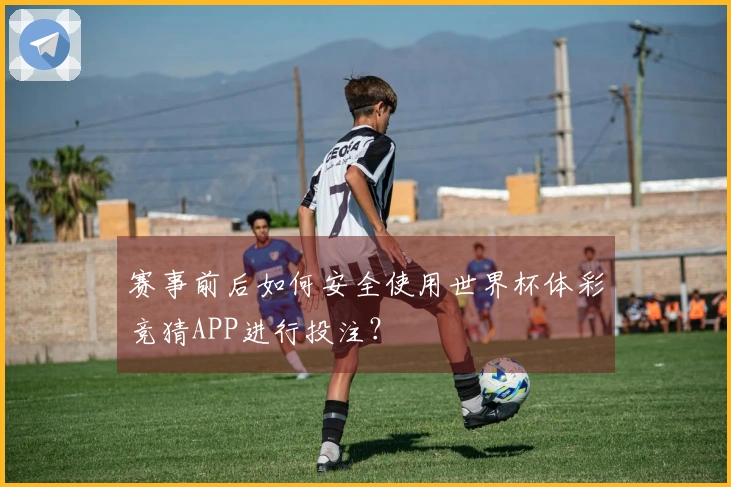 赛事前后如何安全使用世界杯体彩竞猜APP进行投注？