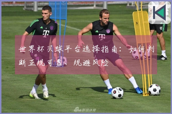世界杯买球平台选择指南：如何判断正规可靠、规避风险