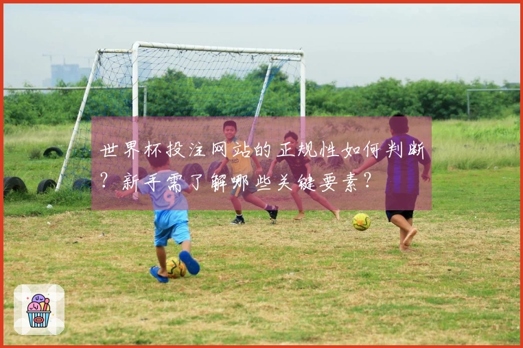 世界杯投注网站的正规性如何判断？新手需了解哪些关键要素？