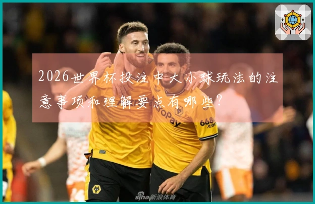 2026世界杯投注中大小球玩法的注意事项和理解要点有哪些？