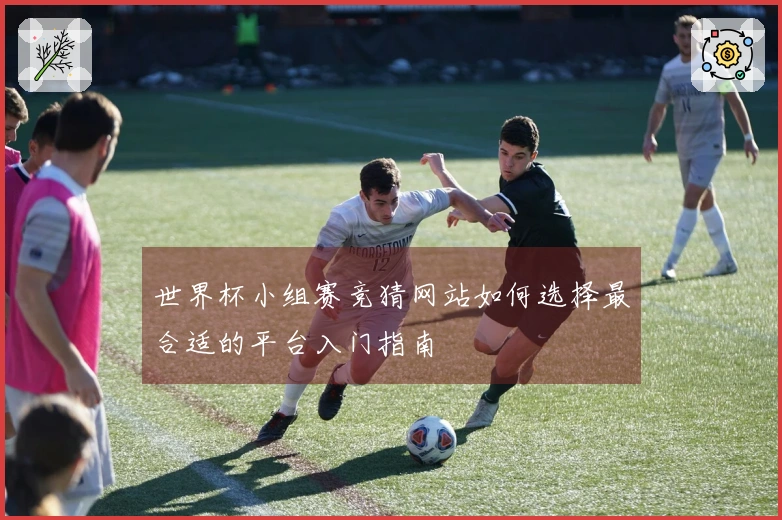 世界杯小组赛竞猜网站如何选择最合适的平台入门指南