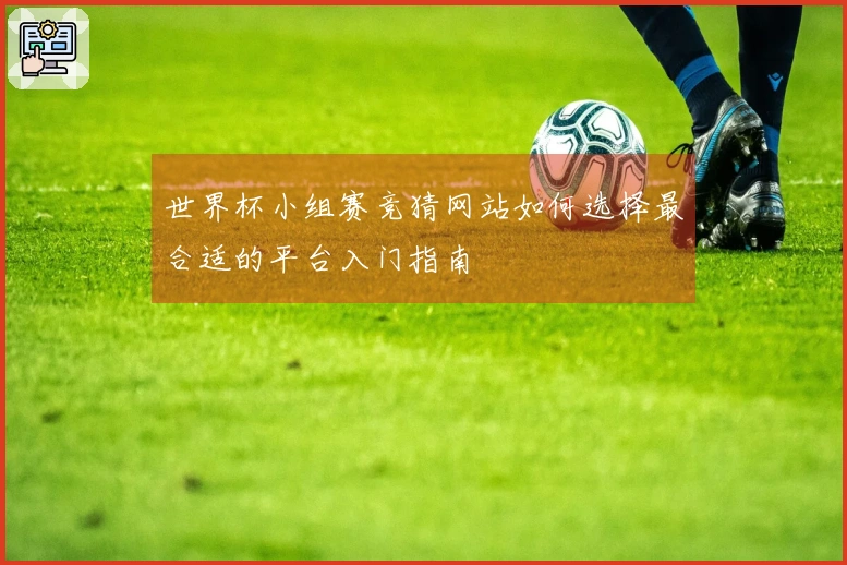 世界杯小组赛竞猜网站如何选择最合适的平台入门指南