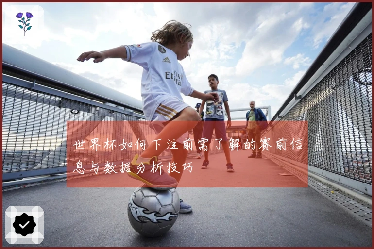 世界杯如何下注前需了解的赛前信息与数据分析技巧